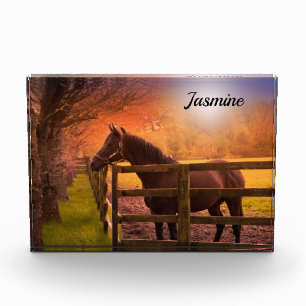 Horse in Paddock Personalised Photo Block