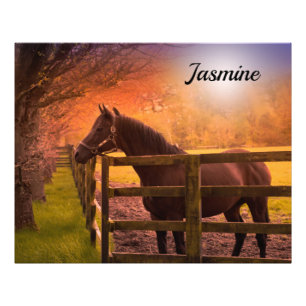 Horse in Paddock Personalised Photo Print