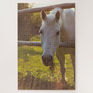 Horse in Pasture Jigsaw Puzzle