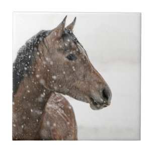Horse in snow ceramic tile