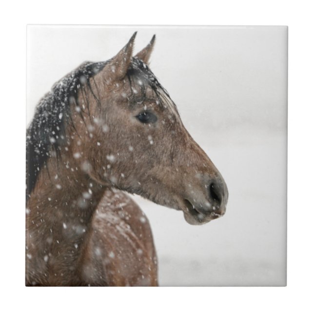 Horse in snow ceramic tile (Front)