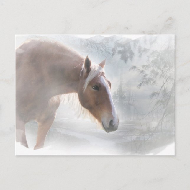 Horse in Snow Season's Greetings Postcard (Front)