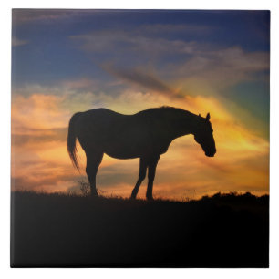 Horse in Southwestern Sunrise Art Ceramic Tile