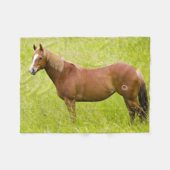Horse in Spring Field Fleece Blanket (Front (Horizontal))