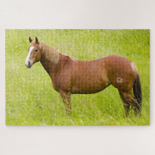 Horse in Spring Field Jigsaw Puzzle