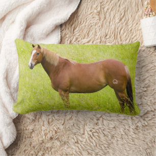 Horse in Spring Field Lumbar Cushion