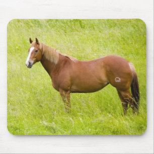 Horse in Spring Field Mouse Pad