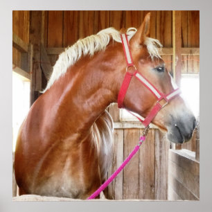 Horse in Stall 3 Poster