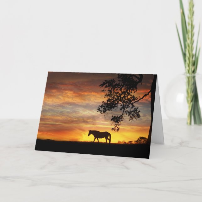 Horse in sunset equine sympathy card (Front)