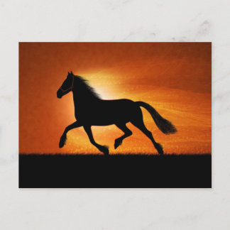 Horse In Sunset Postcard