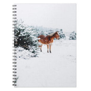 HORSE IN THE FALLING SNOW NOTEBOOK