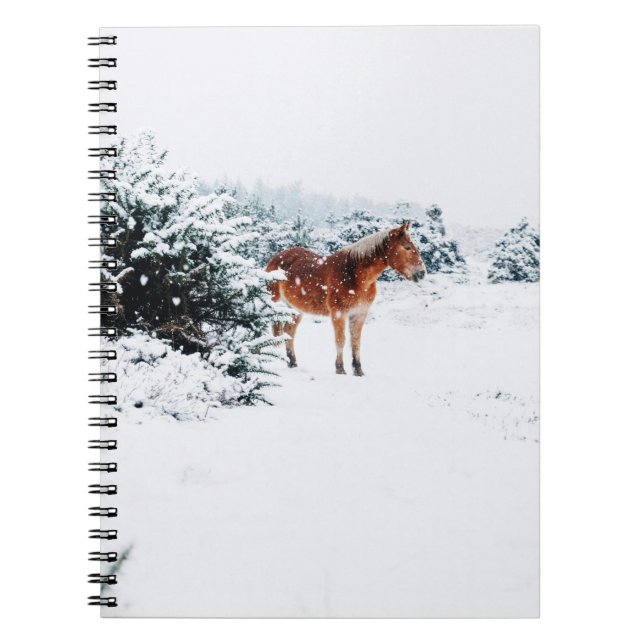 HORSE IN THE FALLING SNOW NOTEBOOK (Front)