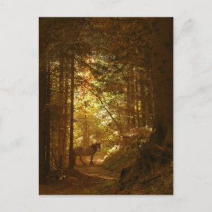 Horse in The Magically Lit Forest Postcard