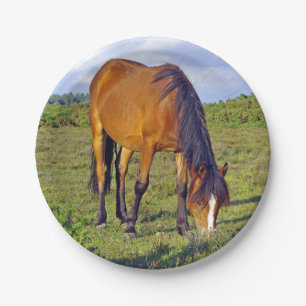 horse in the meadow plate