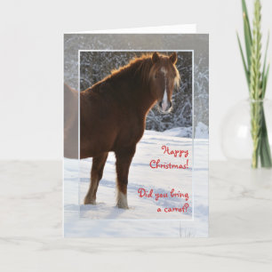 Horse in the snow Xmas card
