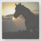 Horse in the Sunset Coaster