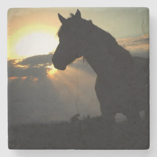Horse in the Sunset Coaster