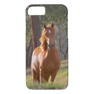 Horse In The Woods Case-Mate iPhone Case
