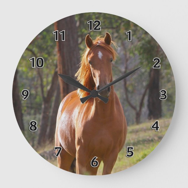 Horse In The Woods Large Clock (Front)