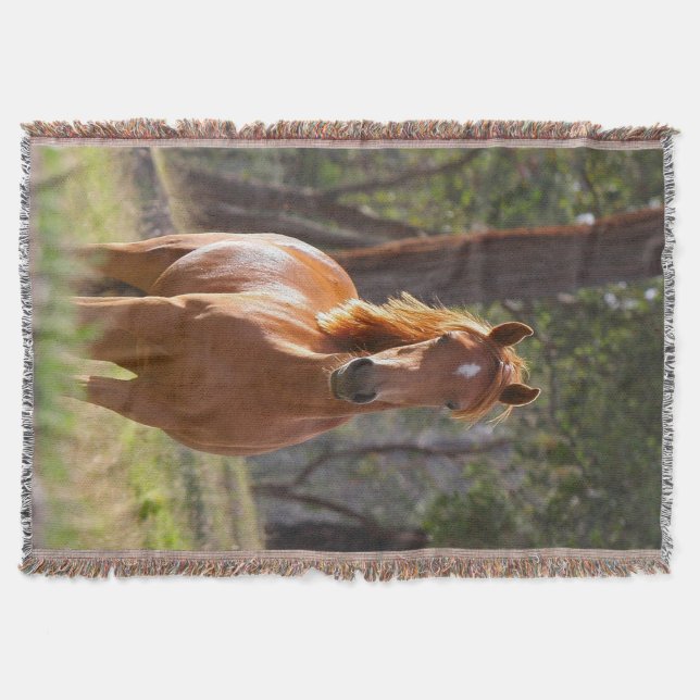 Horse In The Woods Throw Blanket (Front)