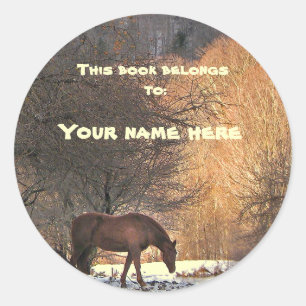 Horse in Winter Bookplate Classic Round Sticker