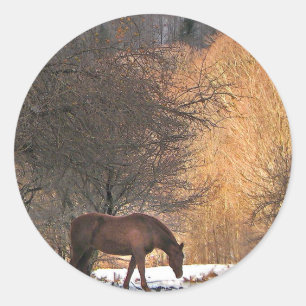 Horse in Winter Classic Round Sticker