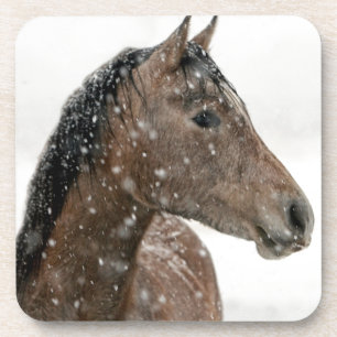 Horse in Winter Coaster