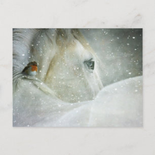 horse in winter postcard