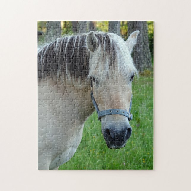 Horse Jigsaw puzzle (Vertical)