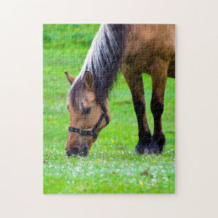 Horse Jigsaw puzzle