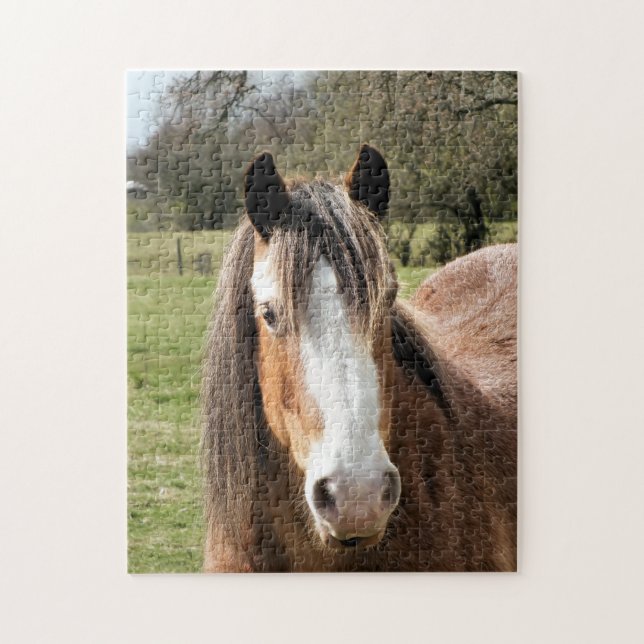 HORSE JIGSAW PUZZLE (Vertical)