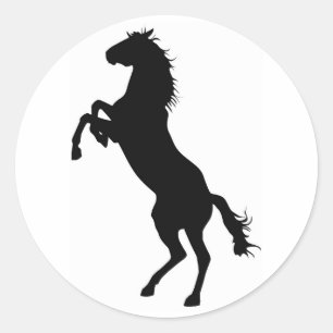 Horse Jumper Classic Round Sticker