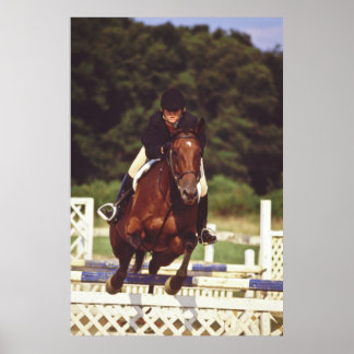 Horse Jumping Contest - Poster