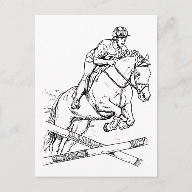 Horse Jumping Postcard (Front)