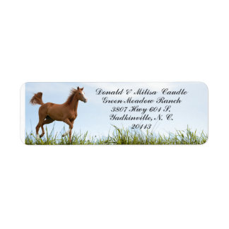  HORSE LABEL RETURN ADDRESS LABEL