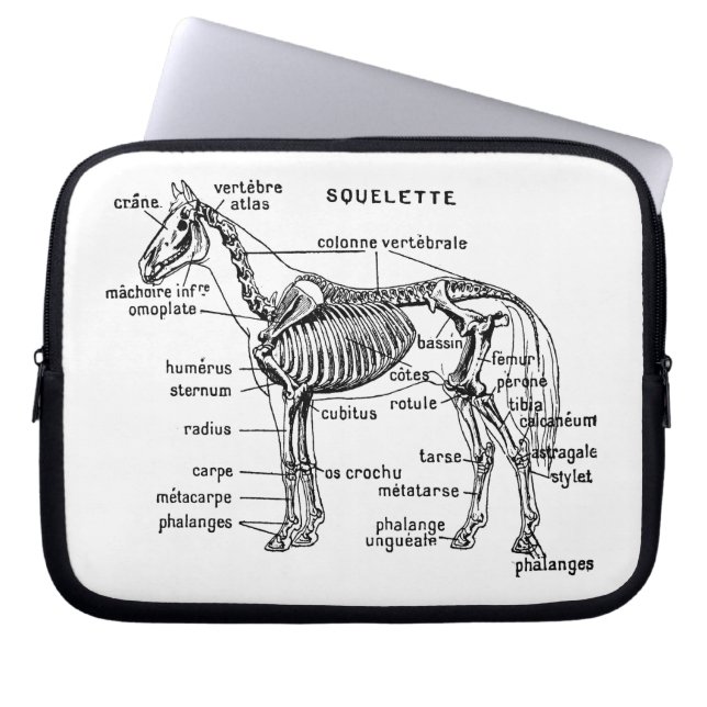 Horse Laptop Sleeve (Front)