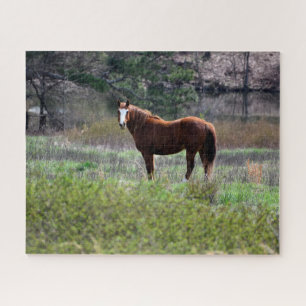 Horse looking back jigsaw puzzle