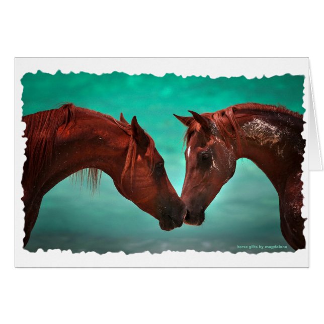 Horse Love (Front Horizontal)