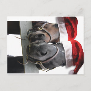 Horse Love and Merry Christmas Holiday Postcard