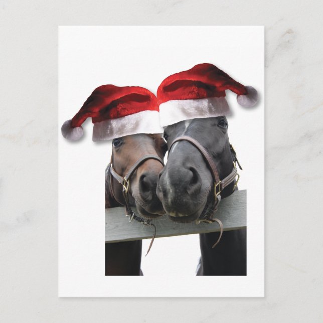 Horse Love and Merry Christmas Holiday Postcard (Front)