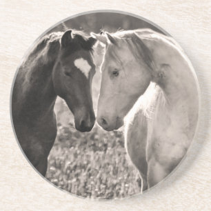 Horse Love Coaster