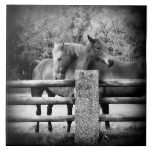 Horse Love - Pair of Horses in Loving Embrace Tile