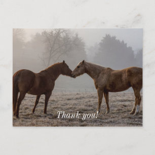 Horse Love Thank You Postcard