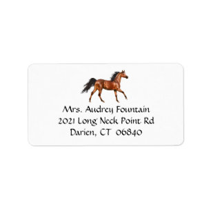 Horse Lover Equestrian Western Country Rodeo Label