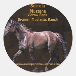 Horse-lover Equine design Classic Round Sticker