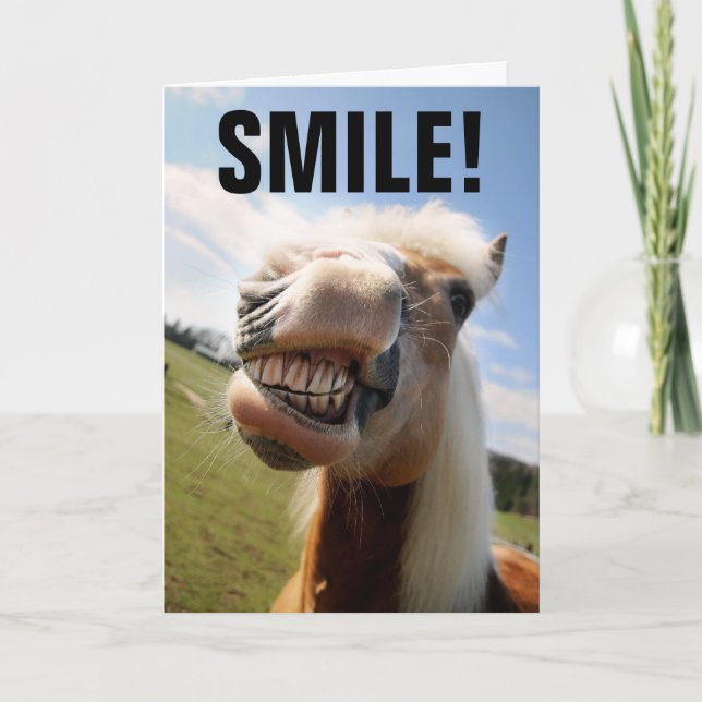 HORSE LOVER FUNNY BIRTHDAY GREETING CARDS (Front)