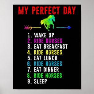 Horse Lover Shirt Horseck Riding Horse Lover Gifts Poster