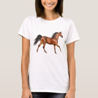 Horse Lover, Stallion, Horses Equestrian Cowgirl