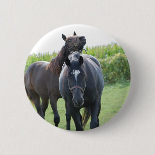 Horse Lovers 6 Cm Round Badge