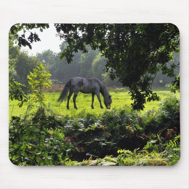 Horse-lover's Beautiful Equine Animal Design Mouse Pad (Front)